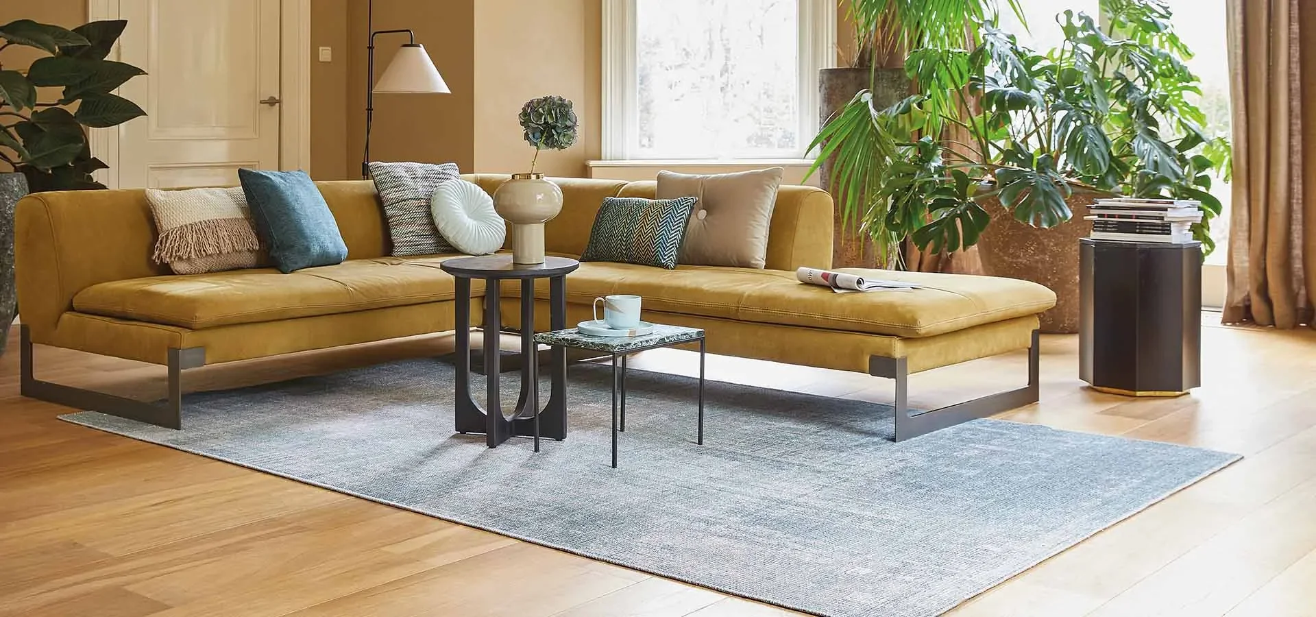 620-vloeren_karpet_header.webp 620-vloeren_karpet_header.webp