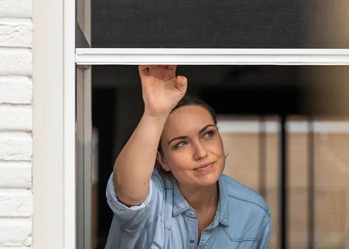 horren haarlem kopen horren haarlem kopen