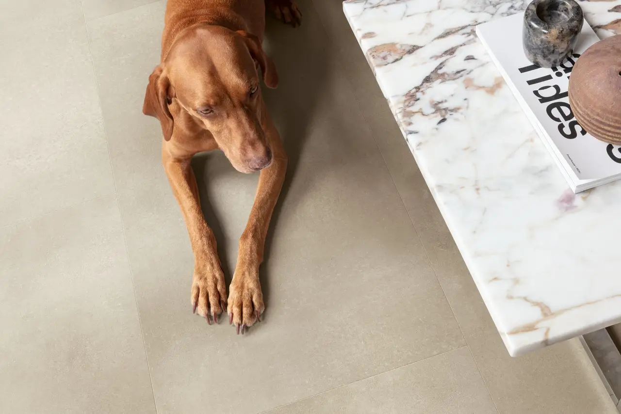 Ruimte met de pvcvloer Quick-Step Illume Zandsteenbeton