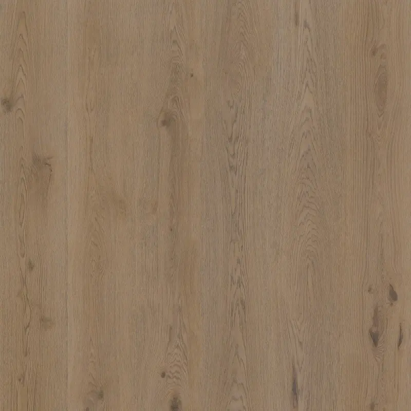 Therdex Authentic Dryback plank 15064, decor van de pvcvloer